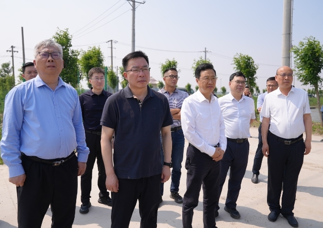 省农业农村厅副厅长何益军调研海洋院盐碱地改良项目